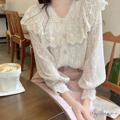 Lace Frilled Edge Long Sleeve Delicate Blouse blouse-250126