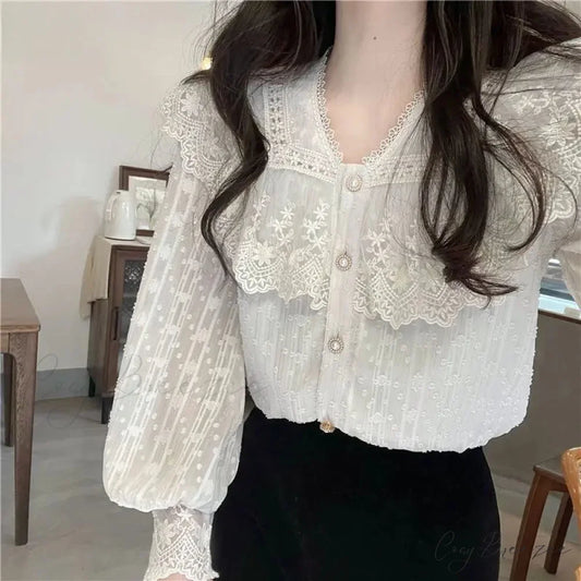 Lace Frilled Edge Long Sleeve Delicate Blouse blouse-250126