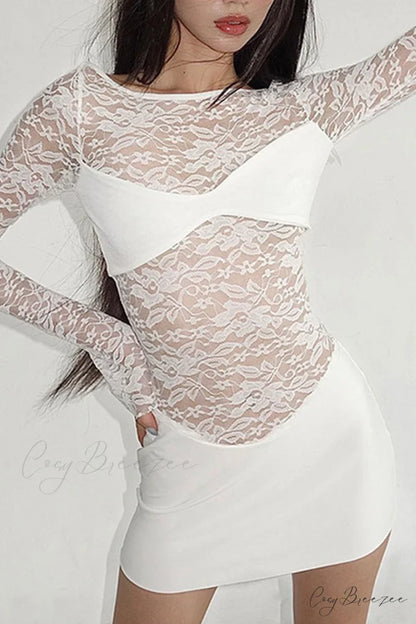 Lace Hollow Out Long Sleeve Pack Hip Dress