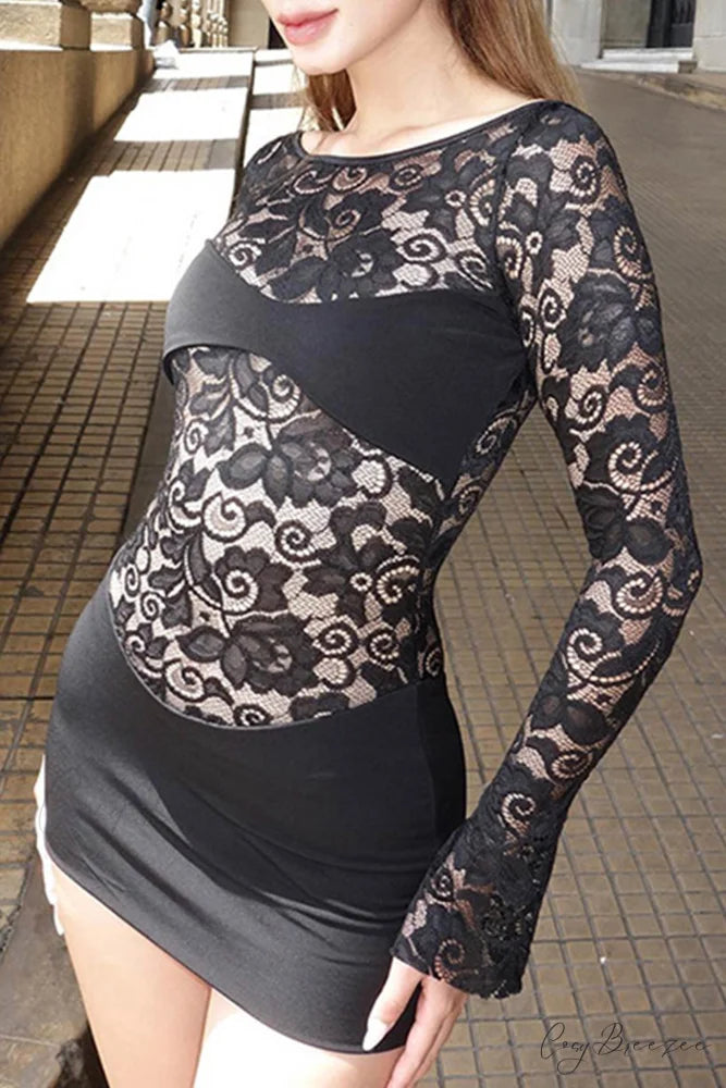 Lace Hollow Out Long Sleeve Pack Hip Dress