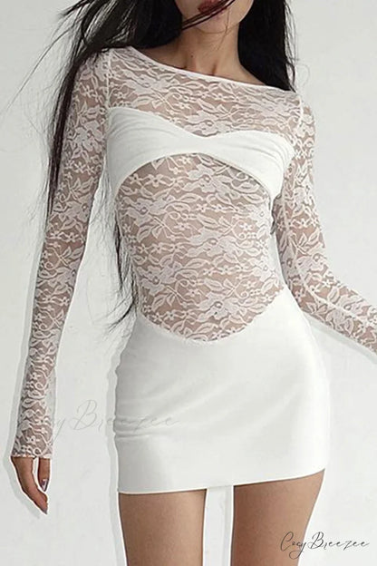 Lace Hollow Out Long Sleeve Pack Hip Dress White / M
