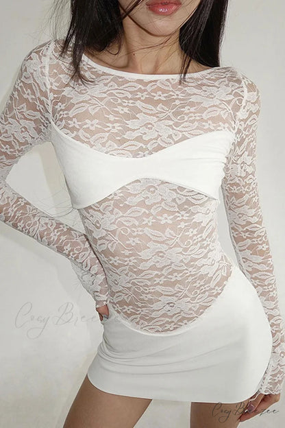 Lace Hollow Out Long Sleeve Pack Hip Dress White / S