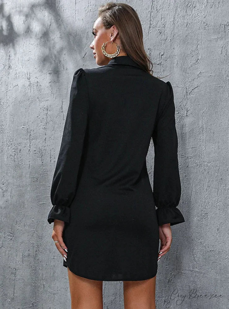 LONG SLEEVE LAPEL SHIRT DRESS