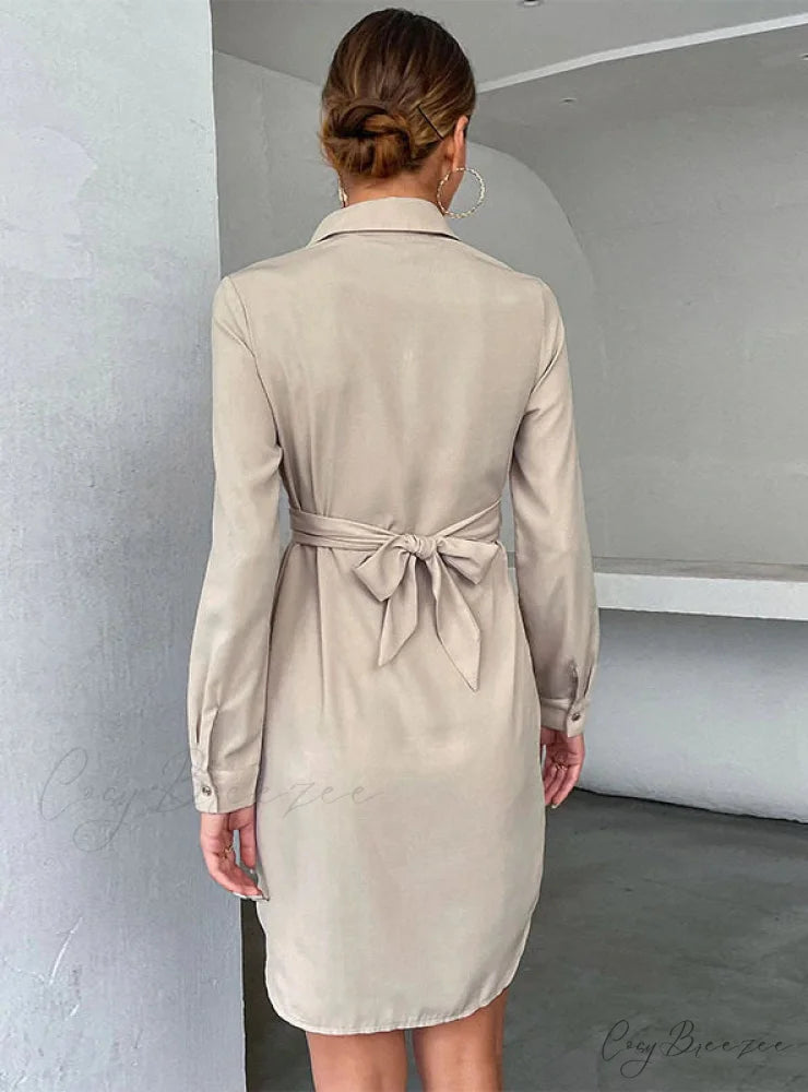 Long-Sleeved Cardigan Dress with Long Lapel
