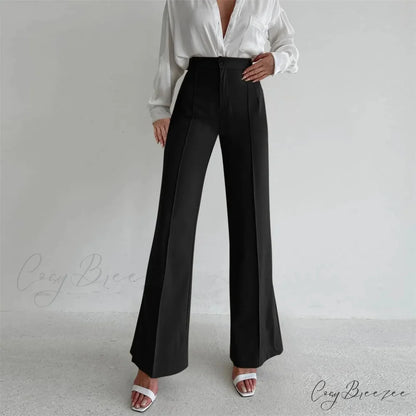 Loose Split Straight Relaxed Pants Black / S pants-241228