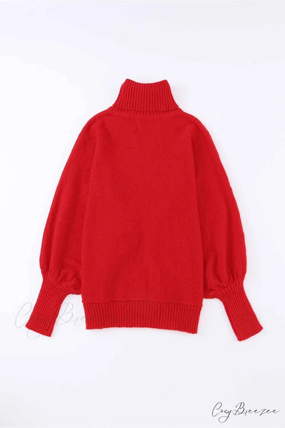 Merry Dolman Sleeve Turtleneck Knitted Sweater