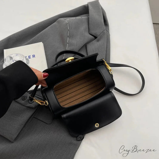 Mini Square Luxury Designer Crossbody Handbag handbag-250126