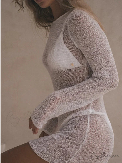 Perspective Long Sleeve Mini Dress minidress-250223
