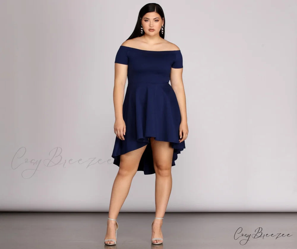 Plus All The Charming Rage Skater Dress NAVY / 1X
