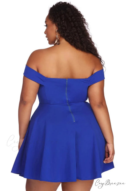 Plus Charming Stylish Sweetheart Skater Dress