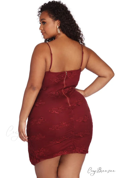 Plus Lace Stylish Darling Mini Dress