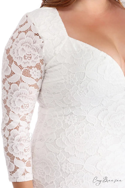 Plus Laced Stylish With Curves Dress