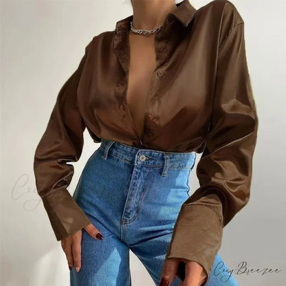 Polo Collar Satin Classic Blue Blouse Dark Brown / S blouse-250223