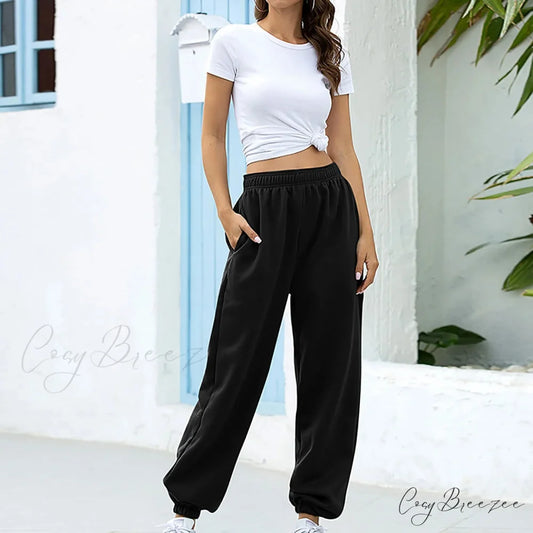 Polyester High Waist Leisure Pants Black / S pants-241228