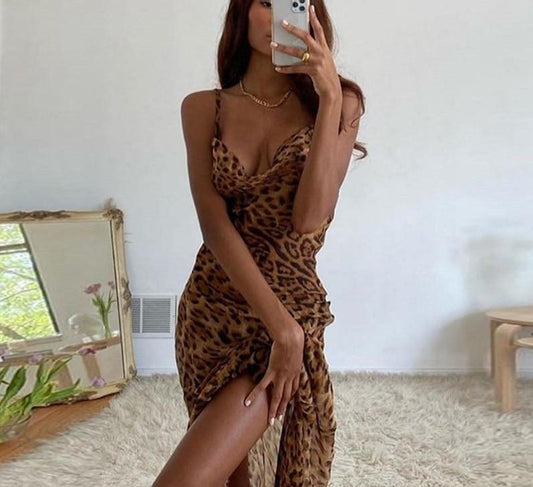 Mesh See Through Charming Leopard Print Maxi Dress