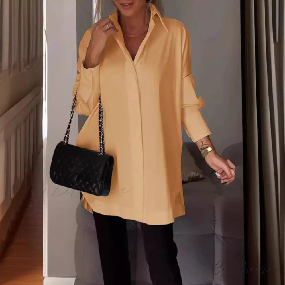 Relaxed Irregular Pullover Long Sleeve Blouse blouse-250126