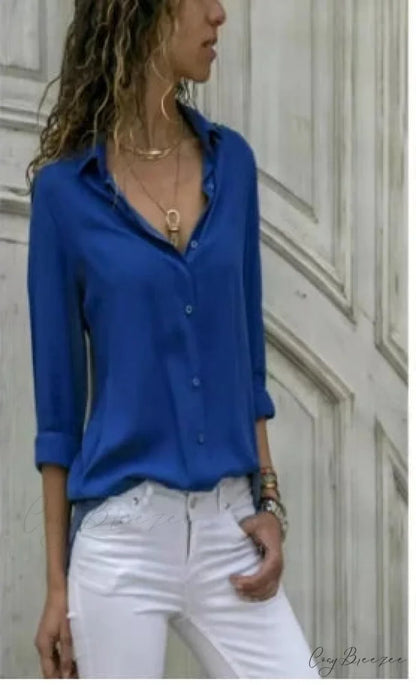 Relaxed Plain Color Long Sleeve Buttoned Blouse Blue / S blouse-250126