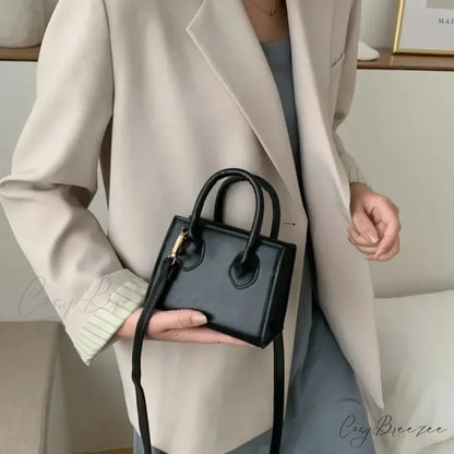 Retro Mini Square Crossbody Handbag Womens Shoulder Bag handbag-250126