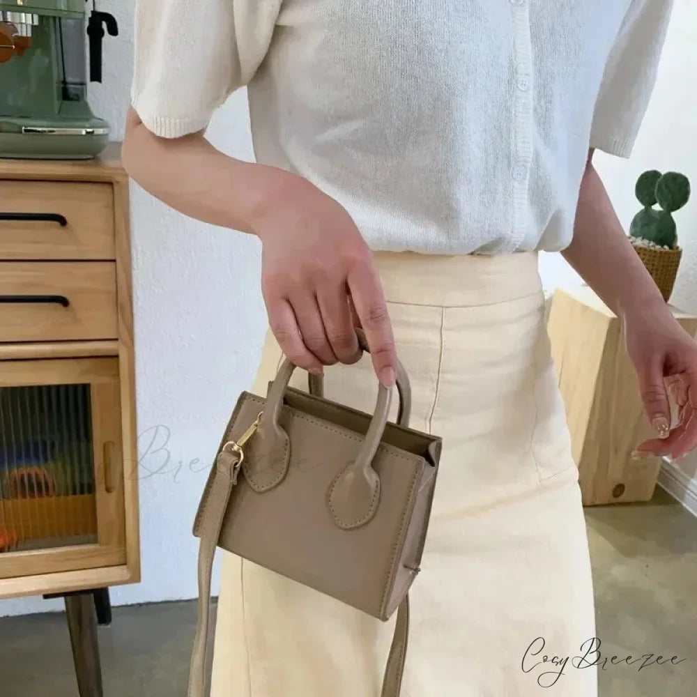 Retro Mini Square Crossbody Handbag Womens Shoulder Bag handbag-250126
