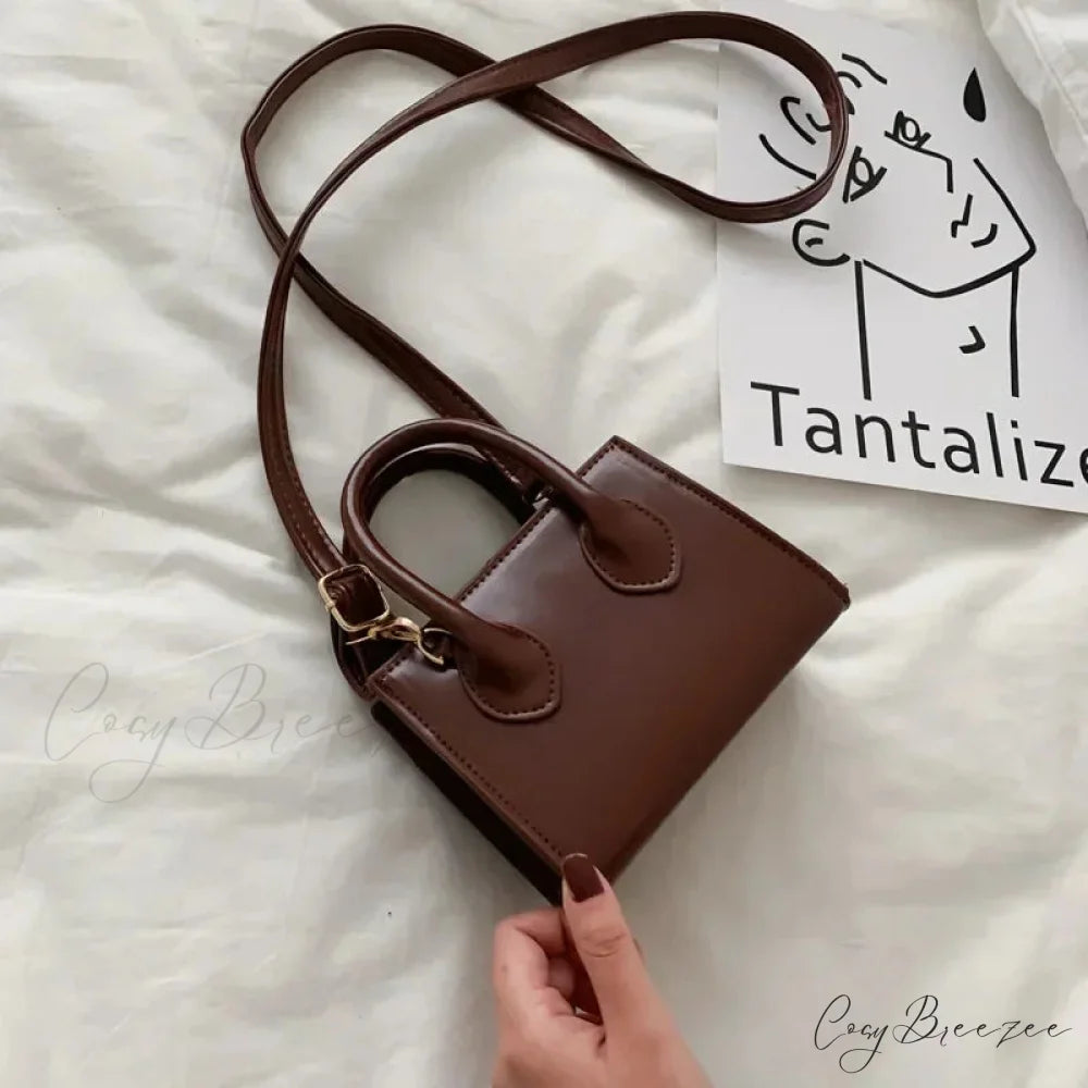 Retro Mini Square Crossbody Handbag Womens Shoulder Bag Dark Brown handbag-250126