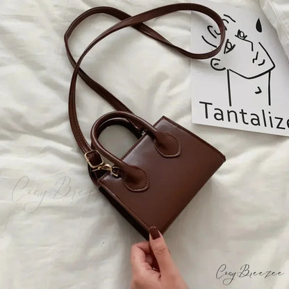Retro Mini Square Crossbody Handbag Womens Shoulder Bag Dark Brown handbag-250126