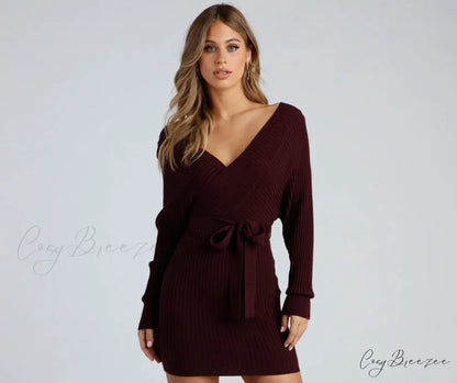 Ribbed Knit Tie-Front Charming Mini Sweater Dress PLUM / XS