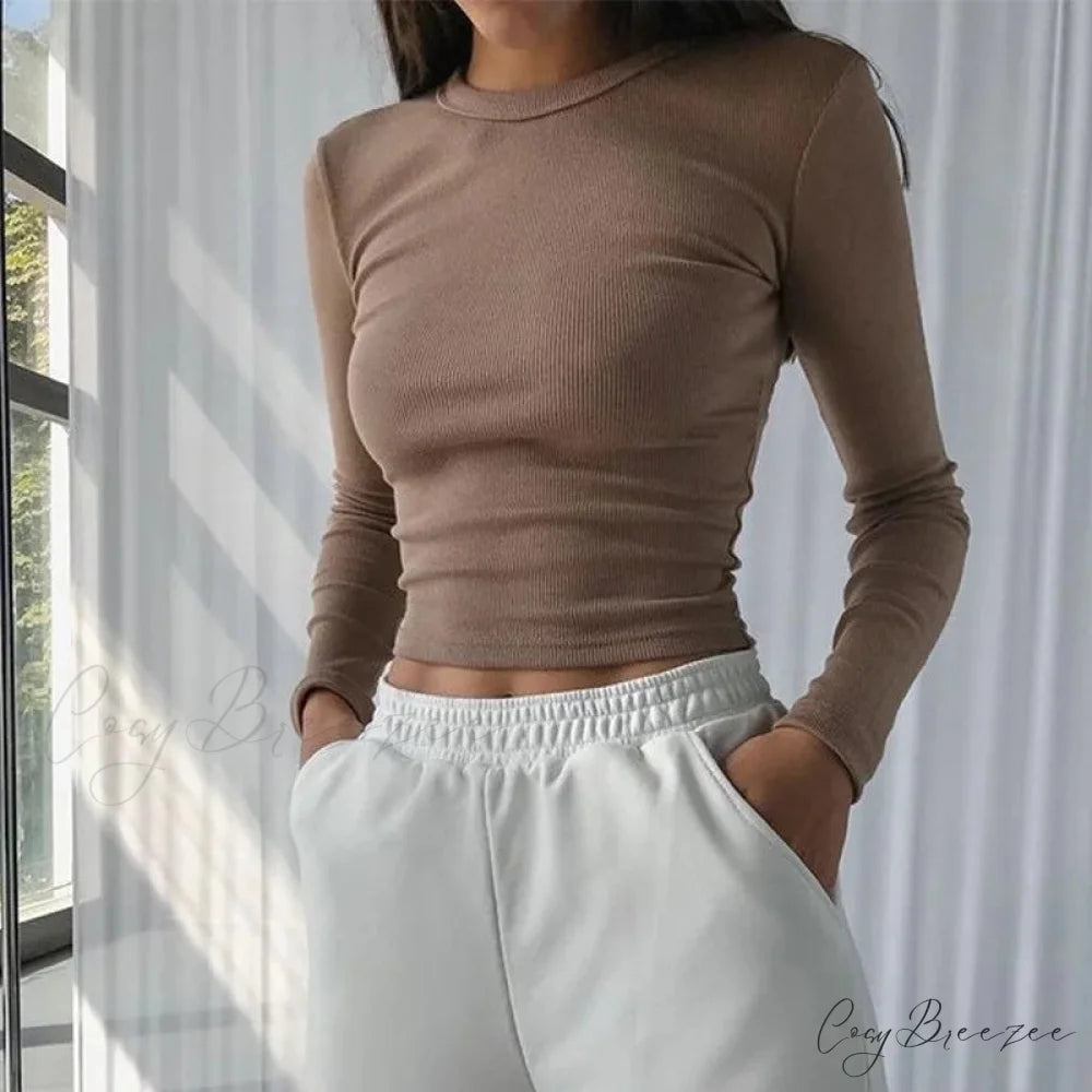 Ribbed Sexy Cropped Slim Fit Long Sleeve Knit Top Brown / S knittop-250126