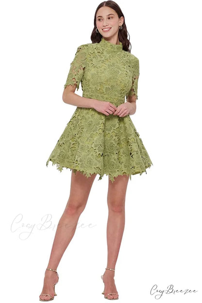 Samira Lace Graceful Mini Dress