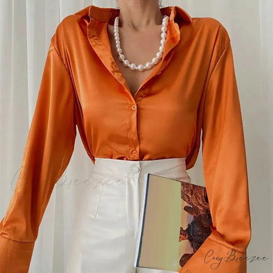 Satin Long Sleeve Classic Blue Blouse blouse-250223
