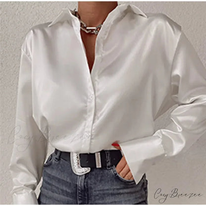 Satin Long Sleeve Classic Blue Blouse blouse-250223