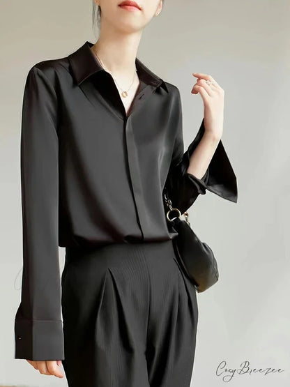Satin Long Sleeve French Style Office Lady Blouse blouse-250126