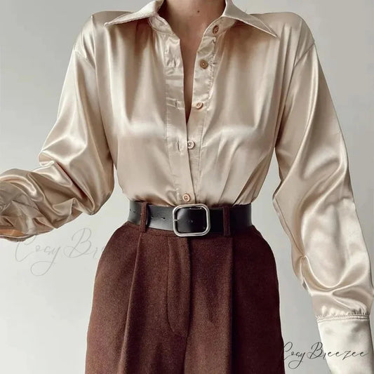Satin Long Sleeve Vintage Blue Green Silk Button Crop Top Champagne / S blouse-250126