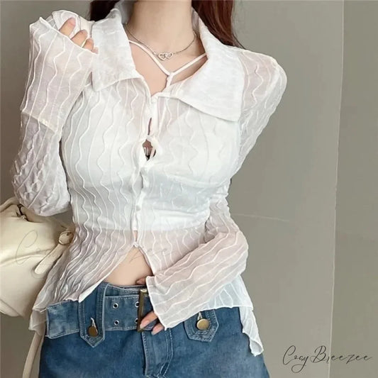 See Through Long Sleeve Turn-down Collar Crop Top blouse-250126