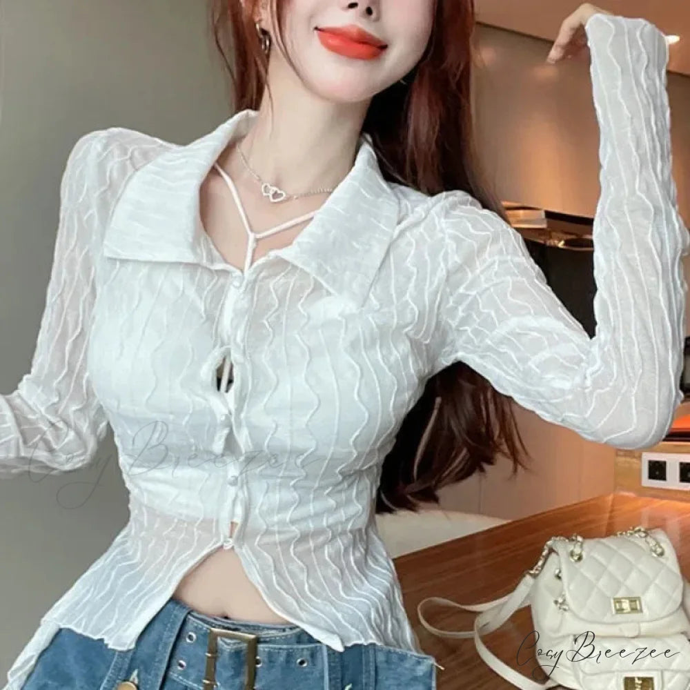 See Through Long Sleeve Turn-down Collar Crop Top WHITE / big one size blouse-250126