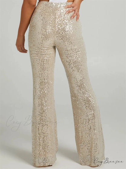 Sequined High Waist Slim Fit Flared Club Pant pant-250223