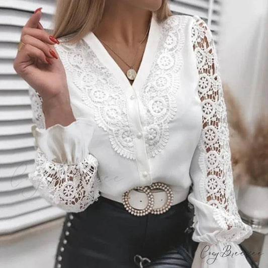 Sexy Hollow Lace Patchwork Long Sleeve Crop Top blouse-250126