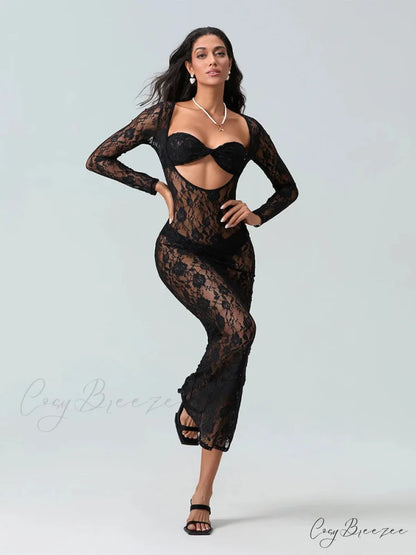 Sexy See-Through Lace Sheer Beach Floral Dress floraldress-250126