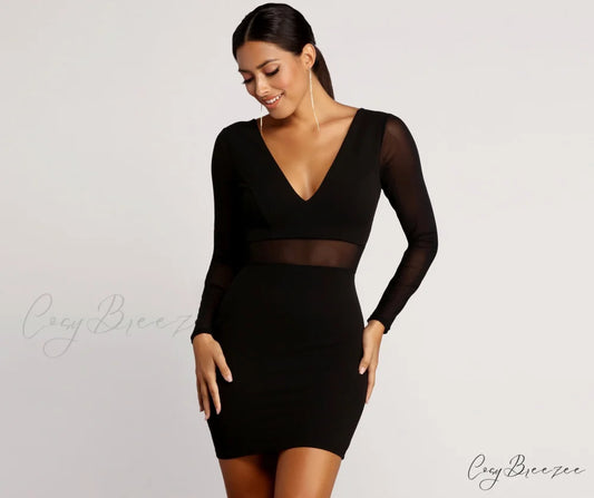 Sheer Bet Stylish Mesh Paneled Dress BLACK / S