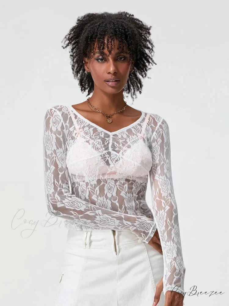 Sheer Lace Long Sleeve V-neck Mesh Crop T-shirt croptop-250126