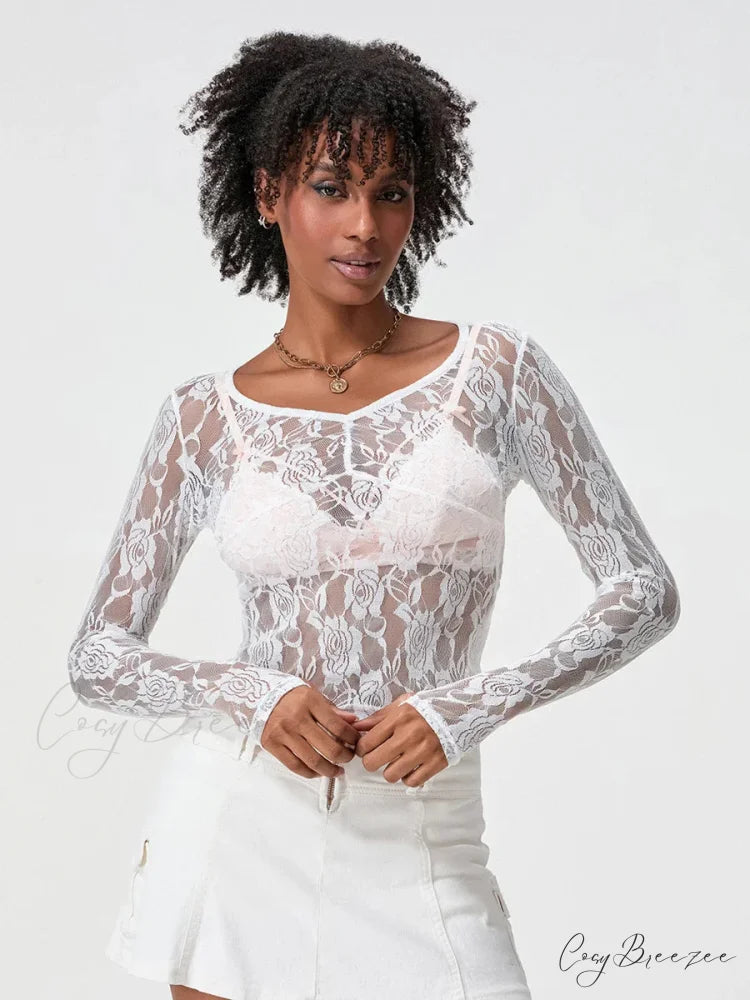 Sheer Lace Long Sleeve V-neck Mesh Crop T-shirt croptop-250126