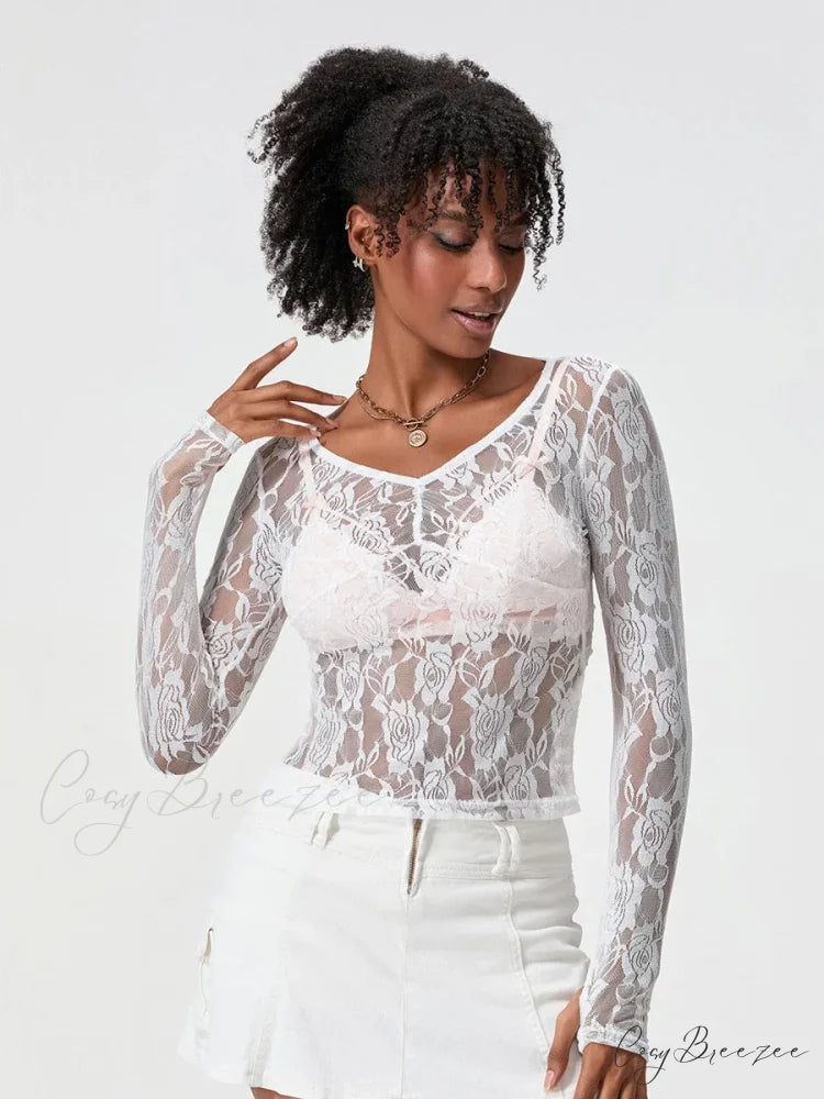Sheer Lace Long Sleeve V-neck Mesh Crop T-shirt WHITE / S croptop-250126