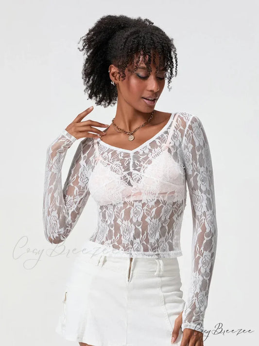 Sheer Lace Long Sleeve V-neck Mesh Crop T-shirt WHITE / S croptop-250126