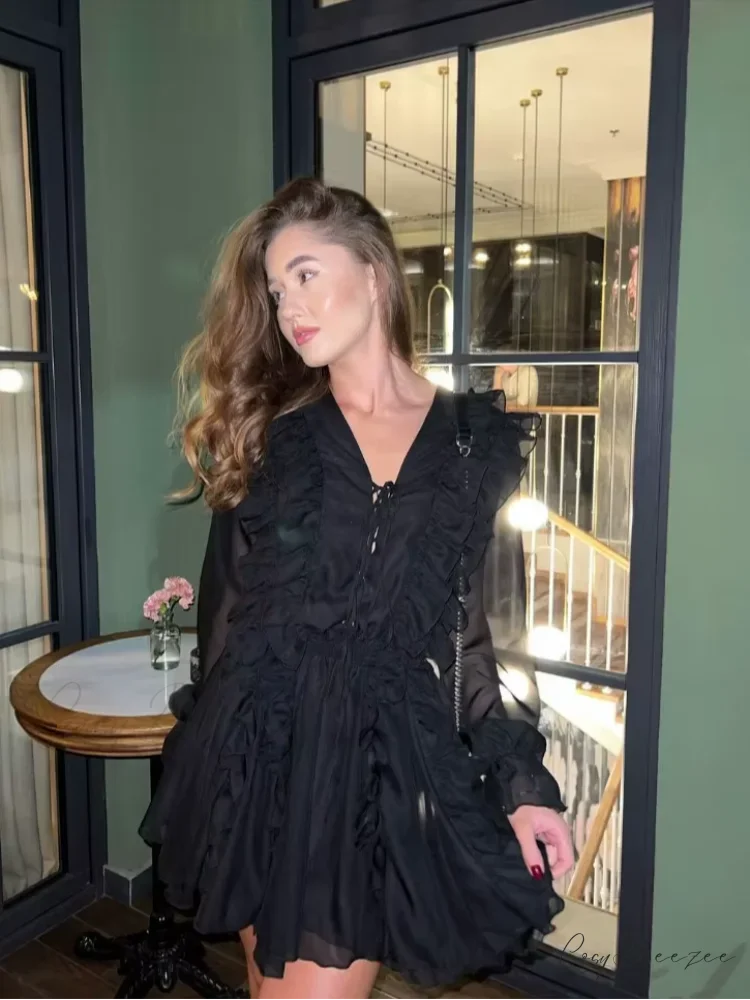 Sheer Lace Mesh Deep V Neck Blouse Black / S blouse-250223