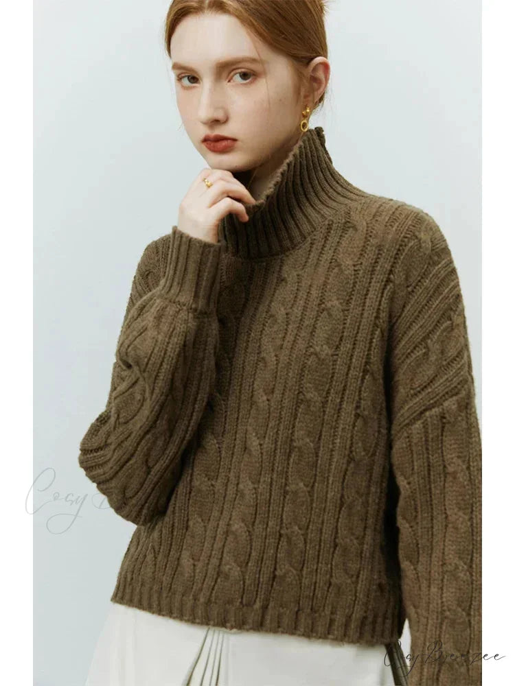 Short Twist Turtleneck Cozy Pullover Sweater Dark Brown / S swraters-241228