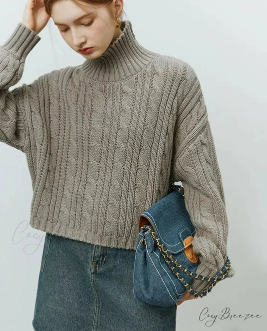 Short Twist Turtleneck Cozy Pullover Sweater swraters-241228