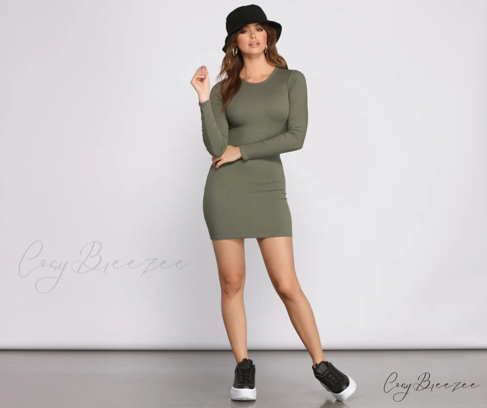 Simply Perfect Stylish Knit Mini Dress