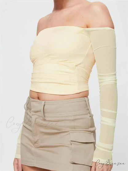 Slash Neck Off Shoulder Mesh See Through Long SleeveT-shirts