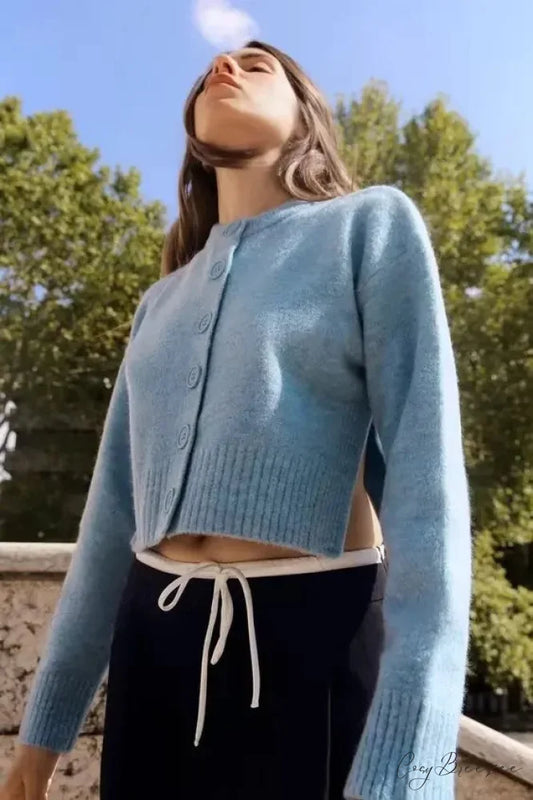 Soft Minimal Round Neck Full Sleeve Cardigan Blue / S cardigans-241228