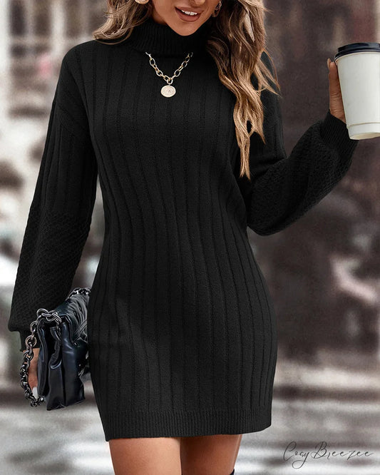 Solid Color High Neck Sweater Dress Black / S