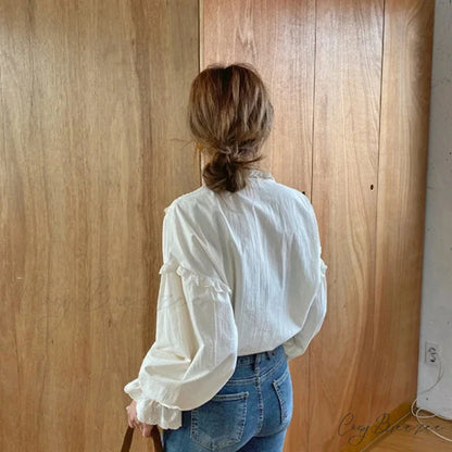 Spring Loose Lantern Sleeve Classic Blouse blouse-250223